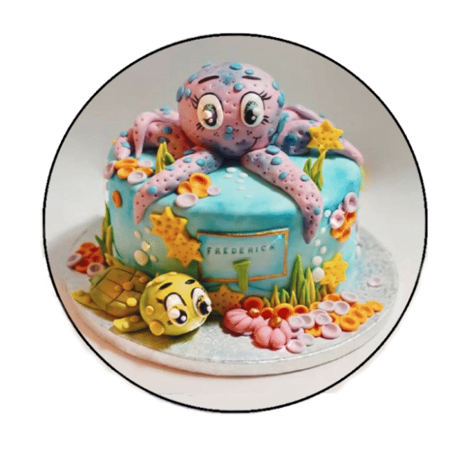 Tort 50€/kg
